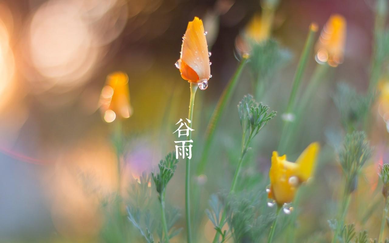谷雨|东莞气胀轴厂家春雨贵如油